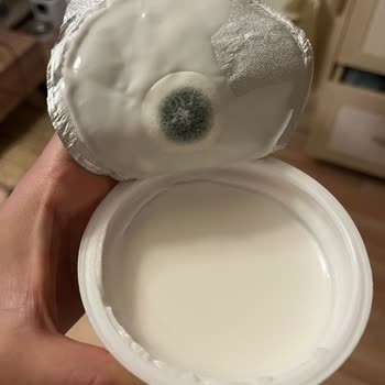 Son Kullanma Tarihi Geçmemiş Yoğurtta Küf Şoku Ve Güven Kaybı