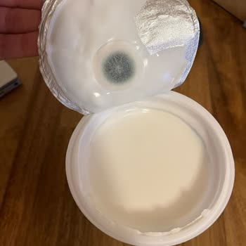 Son Kullanma Tarihi Geçmemiş Yoğurtta Küf Şoku Ve Güven Kaybı