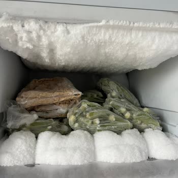 Derin Dondurucu Kapak Bölgesinde Yoğun Buzlanma Ve Yetersiz Müşteri Hizmeti