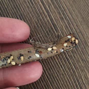 Satın Aldığım UNO Karabuğdaylı Galetadan Yabancı Cisim Çıktı