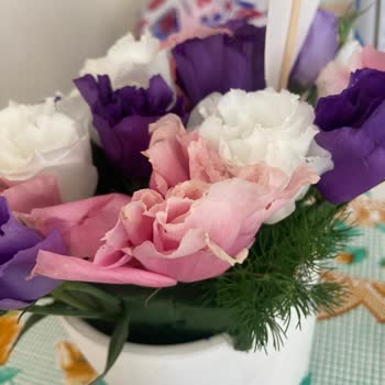 Çürük Çiçekler Ve Tırtıl Şoku Sonrası Çözüm Bekliyorum