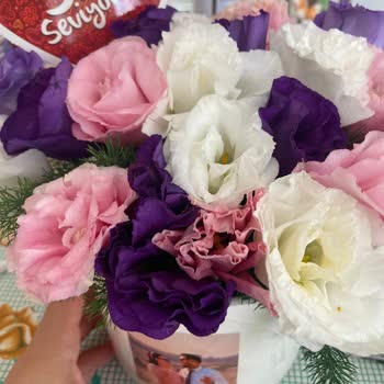 Çürük Çiçekler Ve Tırtıl Şoku Sonrası Çözüm Bekliyorum