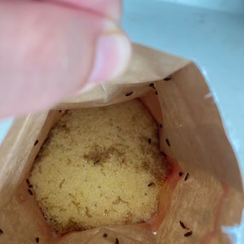 Satın Aldığım İrmik Paketinden Kurt Ve Böcek Çıktı