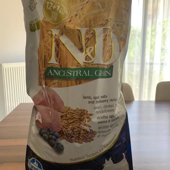 Nd Köpek Maması Sonrası Kusma Ve Markadan Çözüm Alamama