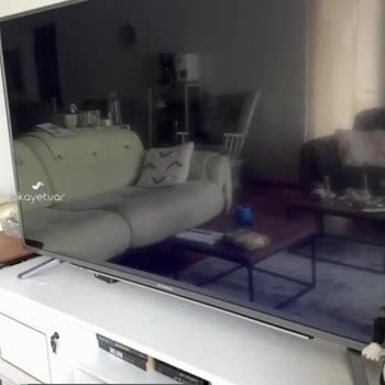 Grundig Televizyon Ekranı Önce Mavi Renk Gösterdi, Şimdi Görüntü De Gitti!