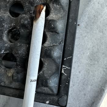 Parliament Sigara Paketinden Büyük Odun Parçası Çıktı, Firma Çözüm Sunmuyor