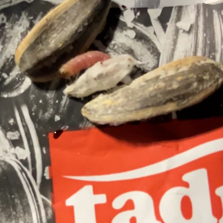 Tadım Çekirdek Paketinde Kurt Çıkması Ve Gıda Güvenliği Endişesi