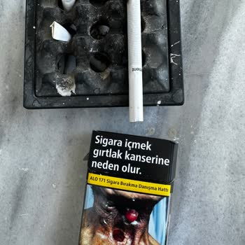 Parliament Cigarettes Contained Large Wood Piece in My Night Blue Pack