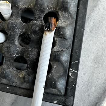 Parliament Cigarettes Contained Large Wood Piece in My Night Blue Pack