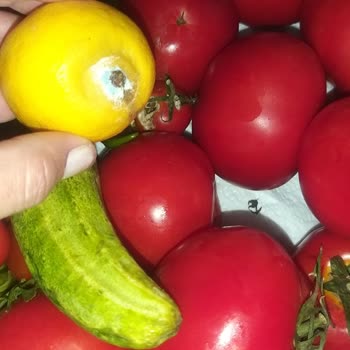 Arçelik Buzdolabında FullFresh Özelliği Çalışmıyor, Sağlığım Tehlikede Ve Değişim Talebim Reddedildi