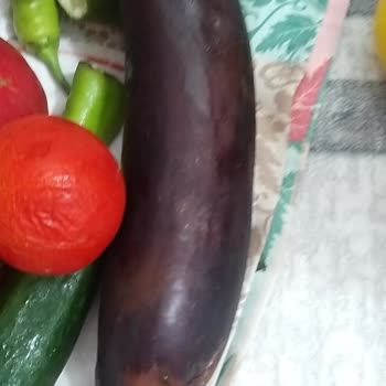 Arçelik Buzdolabında FullFresh Özelliği Çalışmıyor, Sağlığım Tehlikede Ve Değişim Talebim Reddedildi