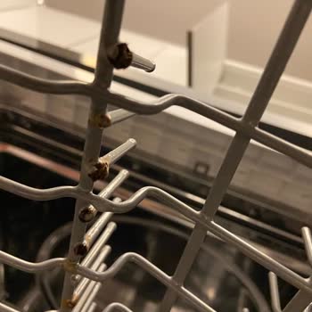 I Face Chronic Rust Problem With My Samsung DW60H3010FW Dishwasher Basket