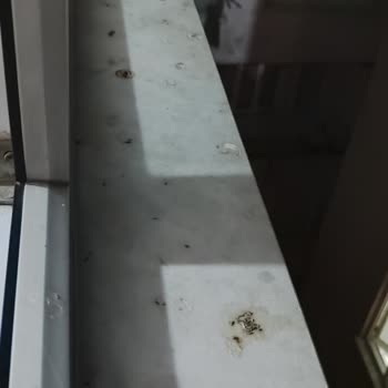 Temizlik Görevlisinin Zamanında Gelmemesi Ve Hizmetin Eksik Ve Kötü Sunulması