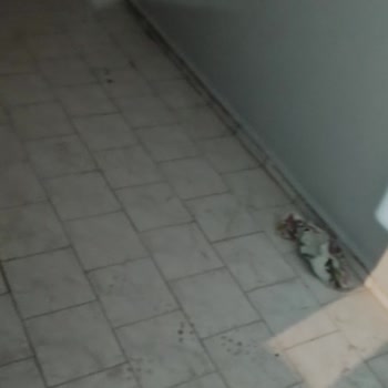 Temizlik Görevlisinin Zamanında Gelmemesi Ve Hizmetin Eksik Ve Kötü Sunulması