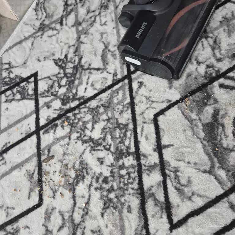 Philips   Yeni Aldığım Süpürge Temizlik Yerine Sorun Çıkarıyor, Destek Alamıyorum