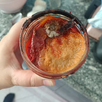 Son Kullanma Tarihi Geçmemiş Salçada Küf Ve Bozulma Şikayeti