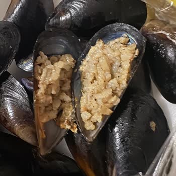 Bozuk Ürün Ve İade Sorunu: Mağduriyetim Giderilmiyor