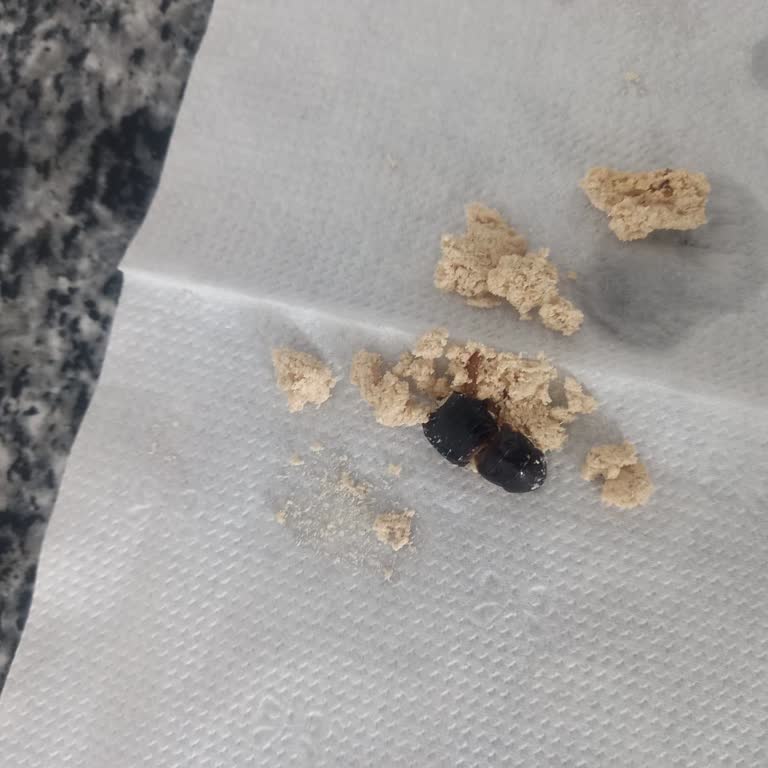 Öz Çakıroğlu Helva İçinde Böcek Çıkması Ve Yetersiz Müşteri Desteği