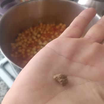 Hasata Aldığım Nohudun İçinden Taş Çıkması Ve Güvenlik Endişesi