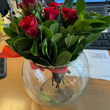 Eksik Ve Hasarlı Ürün Teslimatı, İlgisiz Müşteri Hizmetleri