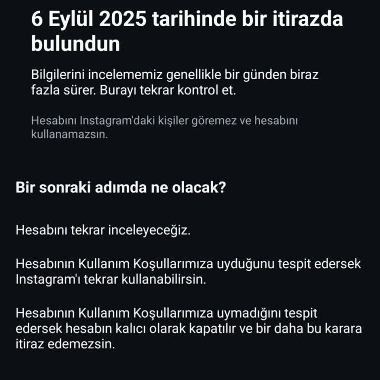 Instagram Yüz Tanıma Sonrası Hesabıma Giriş Yapamıyorum, Acil Destek Talep Ediyorum