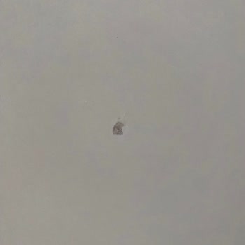 Teslimat Süresi Aşıldı, Ürünlerim Hala Teslim Edilmedi