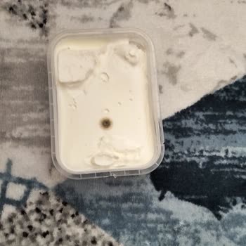 Aldığım Kaymak Son Kullanma Tarihinden Önce Küflendi Ulaşacak Muhatap Bulamıyorum