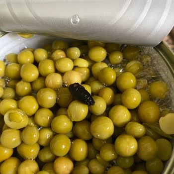 Konserve Bezelyede Böcek Çıkması Ve Hijyen Sorunu