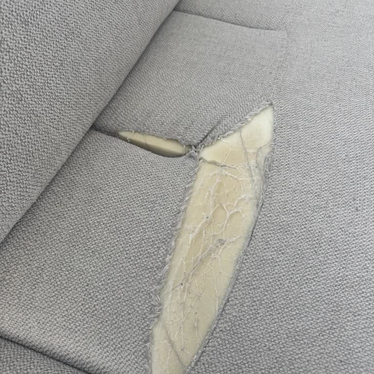 Fatura Verilmediği İçin Garanti Kapsamında Hizmet Alamıyorum