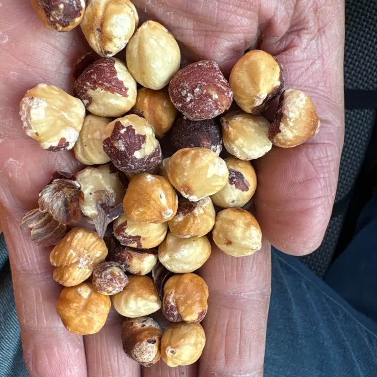 Çerezya A101'den Aldığım Bayat Ve Kötü Kokulu Ürünler Mağaza Deneyimimi Olumsuz Etkiledi