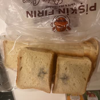 Aldığım Tost Ekmeği Küflü Çıktı, Hayal Kırıklığı Yaşadım
