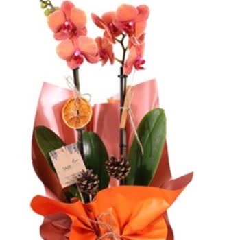 Sipariş Edilen Ve Teslim Edilen Çiçek Arasındaki Büyük Fark Hayal Kırıklığı Yarattı