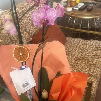 Sipariş Edilen Ve Teslim Edilen Çiçek Arasındaki Büyük Fark Hayal Kırıklığı Yarattı