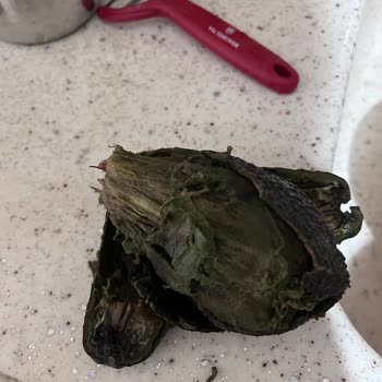 Migros'tan Satın Alınan Bozuk Ürünler Ve Müşteri Hizmetlerine Güvensizlik