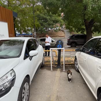 Migros Şarj İstasyonu Sürekli Benzinli Araçlarla Dolu, Kullanılamıyor!