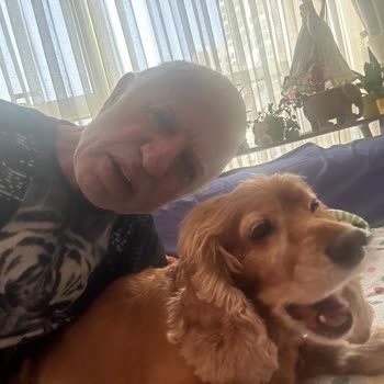 Ameliyat Sonrası Köpeğimin Ani Ölümü Ve Açıklama Yapılmaması