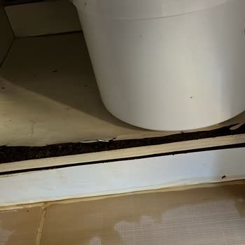 Oksijen Su Arıtma Sistemleri 2 Aydır Sürekli Arıza Yapıyor