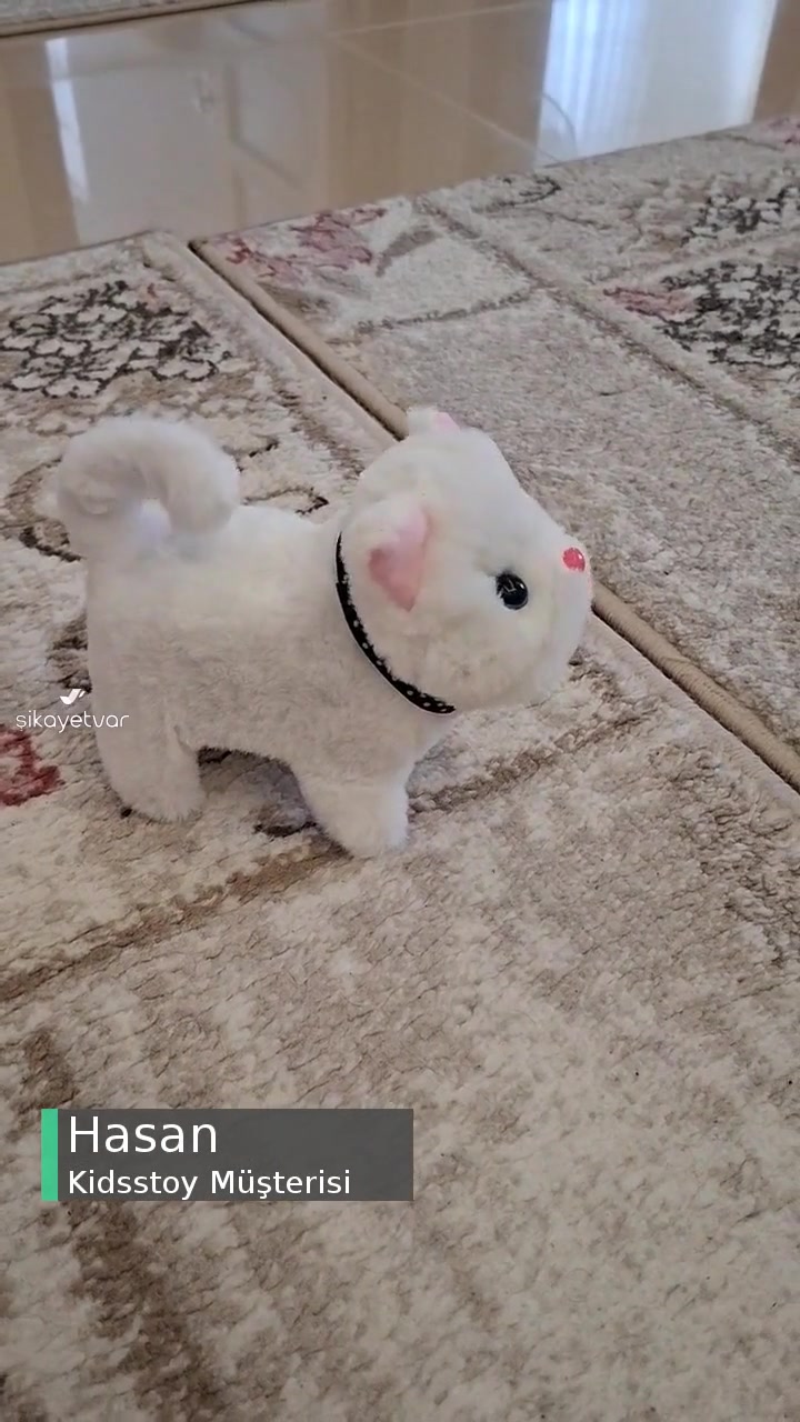Kidsstoy Robot Kedi Aldık Alakasız Kedi Geldi videonun kapak resmi