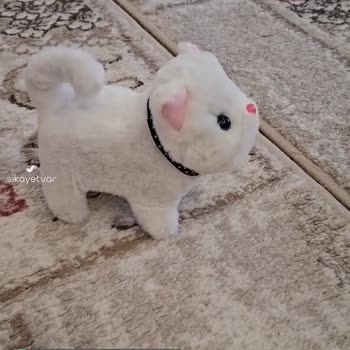 Kidsstoy Robot Kedi Aldık Alakasız Kedi Geldi