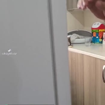 Sıfır Alınan Vestel Marka Buzdolabı Soğutmuyor!