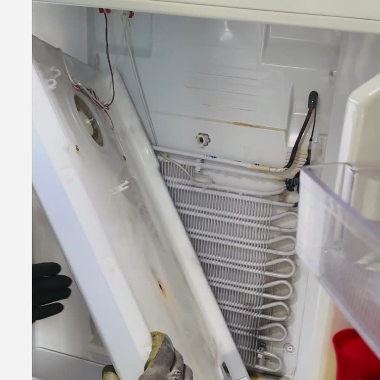 Servis Müdahalesi Sonrası Buzdolabım Tamamen Bozuldu, Mağduriyetim Giderilmiyor