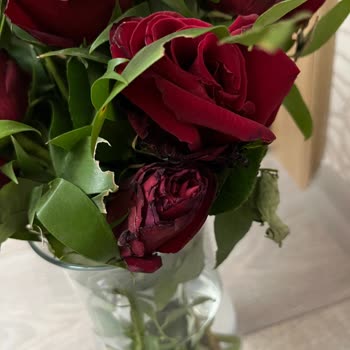 Özel Günde Hayal Kırıklığı: Solmuş Ve Özensiz Çiçek Teslimatı