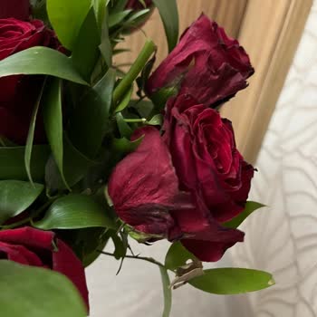 Özel Günde Hayal Kırıklığı: Solmuş Ve Özensiz Çiçek Teslimatı