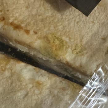 Aldığım Sandviç Ekmeği Son Kullanma Tarihinden Önce Küflendi