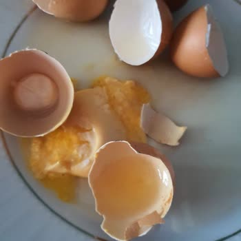 Yumurtada Sağlık Riski Ve Üretici Duyarsızlığına Çözüm Bekliyorum