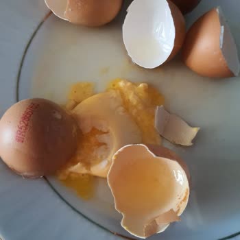 Yumurtada Sağlık Riski Ve Üretici Duyarsızlığına Çözüm Bekliyorum