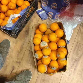 Haljet Çürük Ürün Gönderildi Telafi Edilmedi!