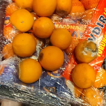 Haljet Çürük Ürün Gönderildi Telafi Edilmedi!