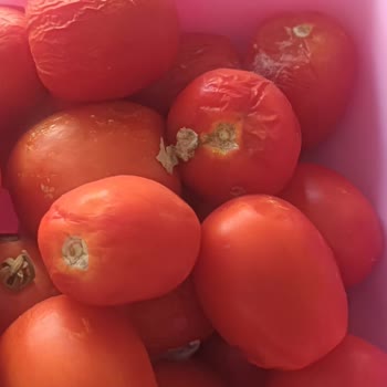 Arçelik Buzdolabı Hem Soğutmuyor Hem Mağdur Ediyor: Çözüm Bekliyoruz!