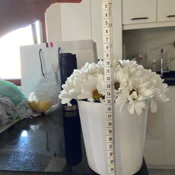 Hayal Kırıklığı Yaratan Çiçek Siparişiyle Özel Günüm Mahvoldu